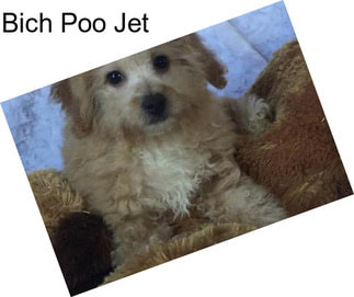 Bich Poo Jet