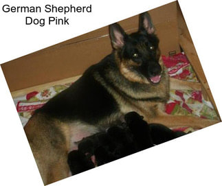 German Shepherd Dog Pink