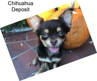 Chihuahua Deposit