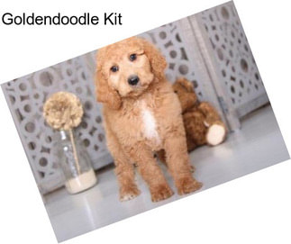 Goldendoodle Kit