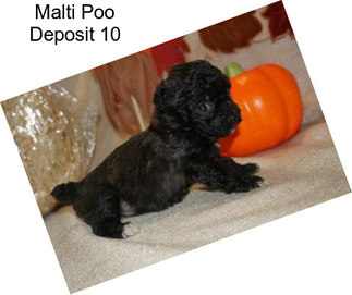 Malti Poo Deposit 10