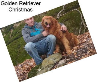 Golden Retriever Christmas