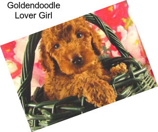 Goldendoodle Lover Girl