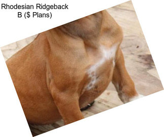 Rhodesian Ridgeback B ($ Plans)