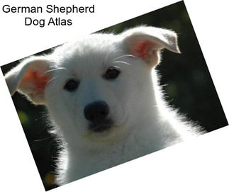 German Shepherd Dog Atlas