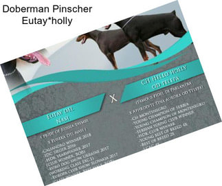 Doberman Pinscher Eutay*holly