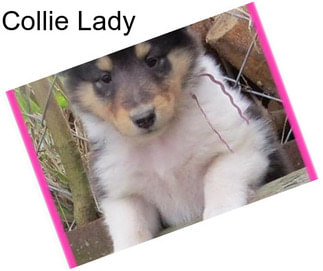 Collie Lady