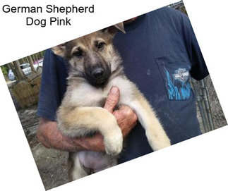 German Shepherd Dog Pink