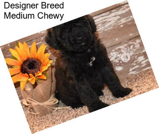 Designer Breed Medium Chewy