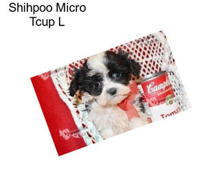 Shihpoo Micro Tcup L