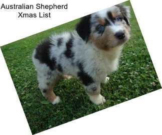 Australian Shepherd Xmas List