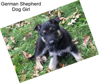 German Shepherd Dog Girl