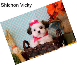 Shichon Vicky