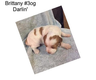 Brittany #3og Darlin\'