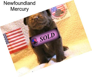 Newfoundland Mercury