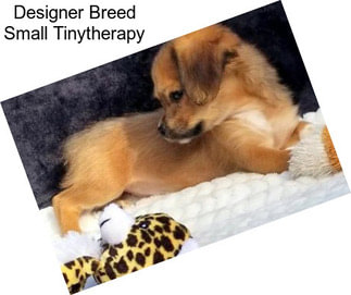 Designer Breed Small Tinytherapy