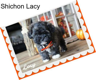 Shichon Lacy