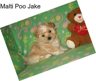 Malti Poo Jake