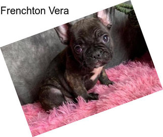 Frenchton Vera