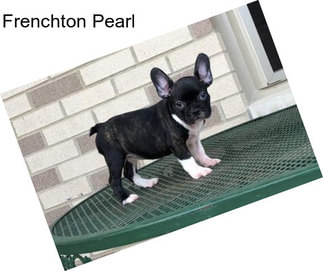 Frenchton Pearl