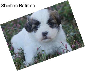 Shichon Batman