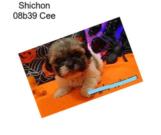 Shichon 08b39 Cee