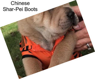Chinese Shar-Pei Boots