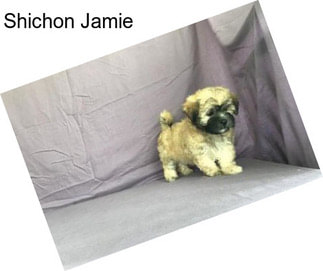 Shichon Jamie