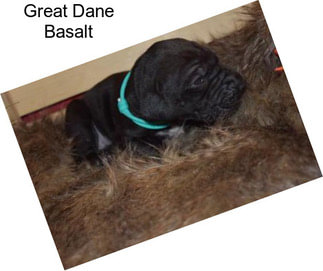 Great Dane Basalt