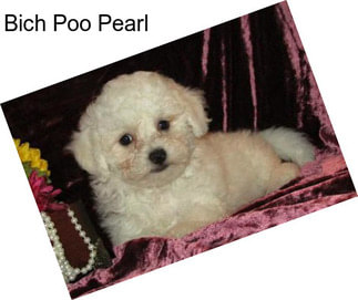 Bich Poo Pearl