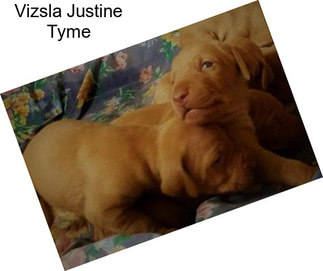 Vizsla Justine Tyme