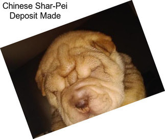 Chinese Shar-Pei Deposit Made