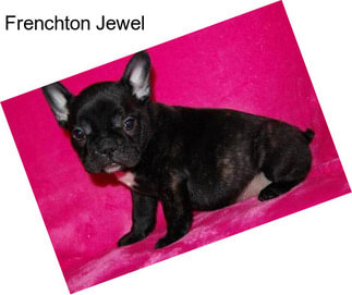 Frenchton Jewel