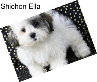 Shichon Ella