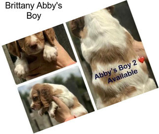 Brittany Abby\'s Boy