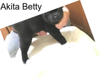 Akita Betty