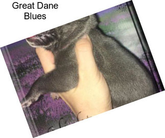 Great Dane Blues