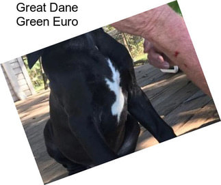 Great Dane Green Euro