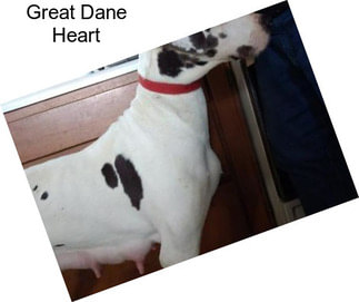 Great Dane Heart