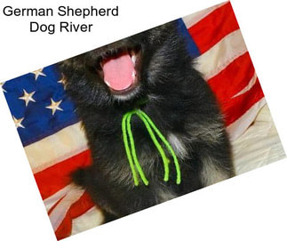 German Shepherd Dog River