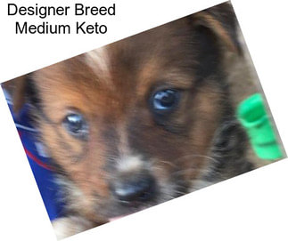 Designer Breed Medium Keto