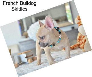 French Bulldog Skittles