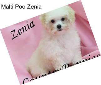 Malti Poo Zenia