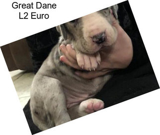 Great Dane L2 Euro