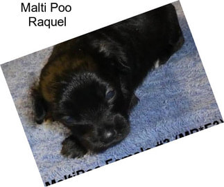 Malti Poo \