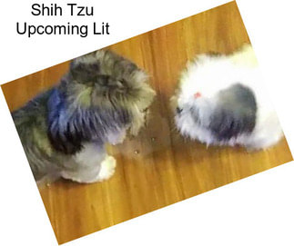 Shih Tzu Upcoming Lit