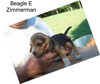 Beagle E Zimmerman