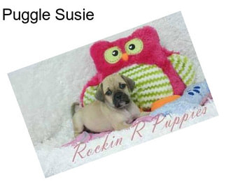 Puggle Susie
