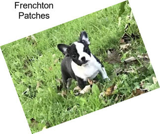 Frenchton Patches