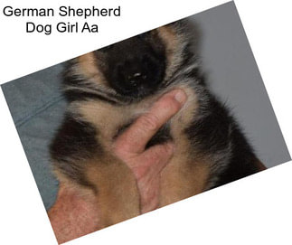 German Shepherd Dog Girl Aa